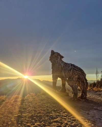 Die Wölfin von Lagorai